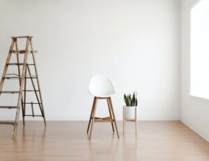 云达不来梅坐镇主场，期待击败多特蒙德