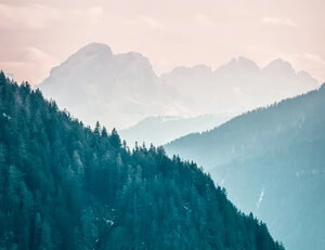 欧冠联赛西班牙豪门获胜领先：荣耀、战术与激情的完美交响